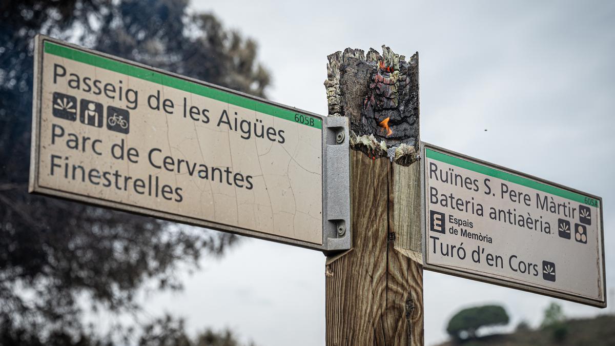 collserola