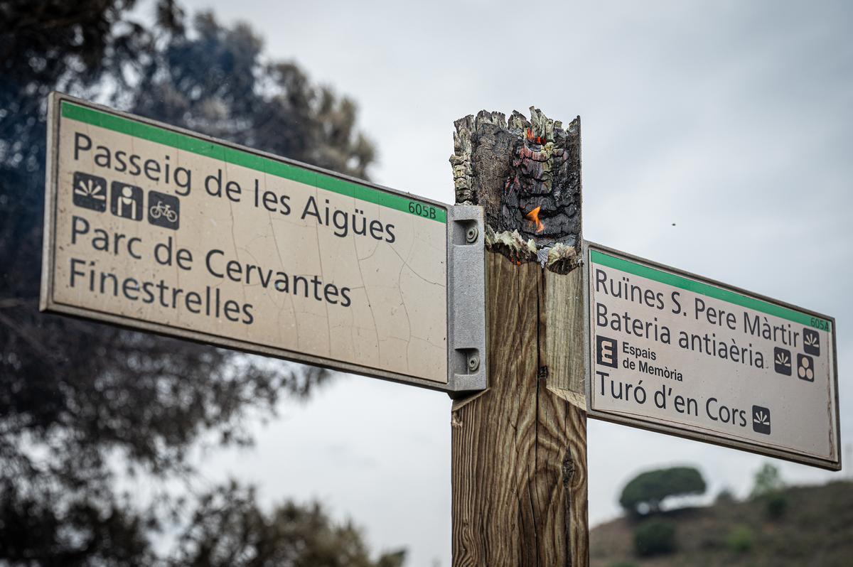 El Govern només ha invertit en Collserola el 4,6% dels diners compromesos amb la declaració de parc natural del 2010