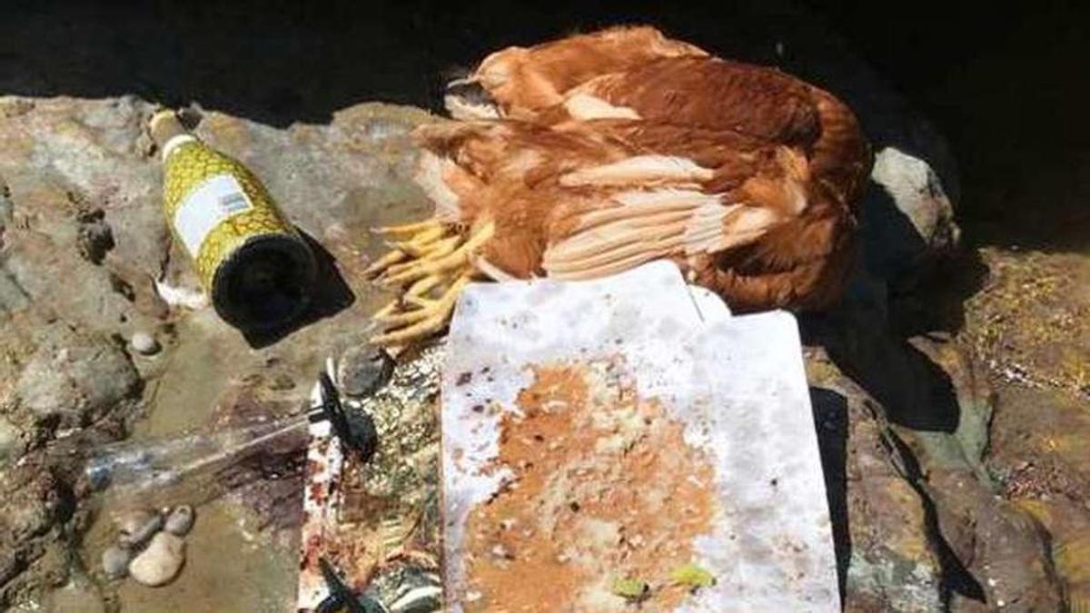 Gallinas decapitadas, un ramo de flores, copas y una botella de cava catalán sobre las rocas de una playa asturiana