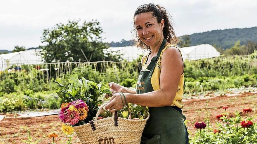 Del banco al campo de Ibiza