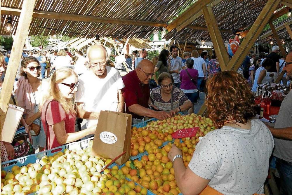 'xapar albercocs'