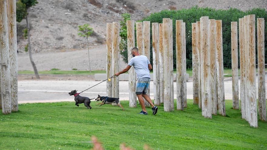 Jornada de domingo en el parque de La Ballena