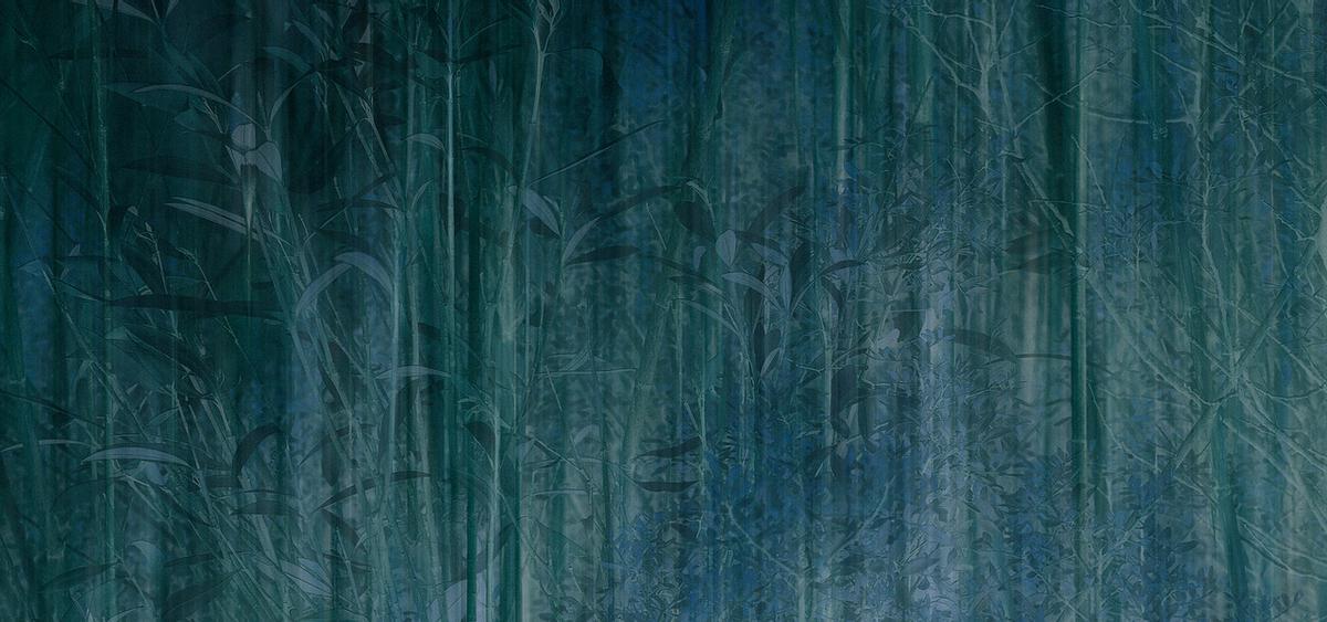 Paisaje Arrastre de Tana Capó