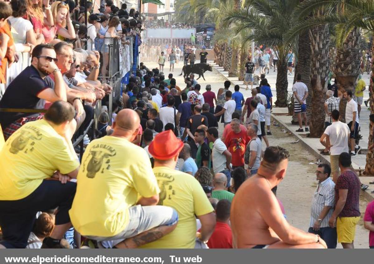 Desfile de peñas y toro fiestas Sant Pere Desfile de peñas y toro fiestas Sant Pere
