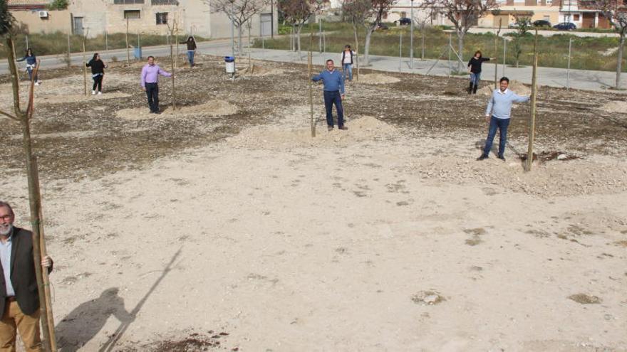 El Campello planta ejemplares de &quot;Kiri&quot; para cumplir con la recomendación de la Cumbre del Clima