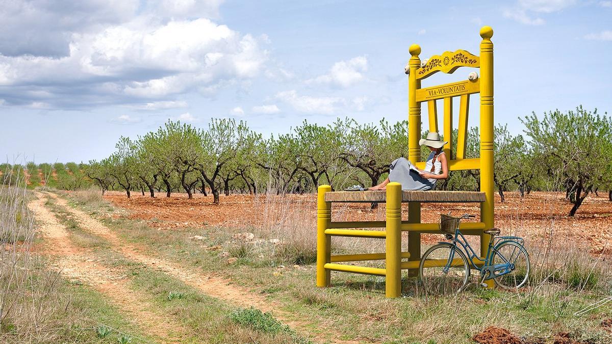 Las sillas se colocarán en plena naturaleza.