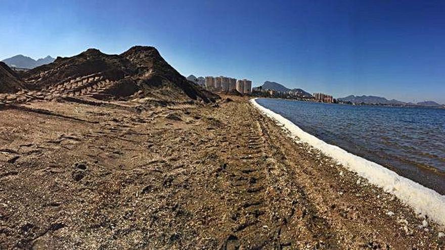 La playa de los Alemanes, una de las afectadas por el problema que denuncian desde Marchamalo.