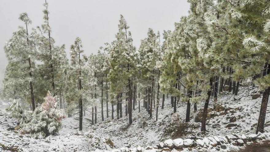 Nieva en la cumbre de Gran Canaria