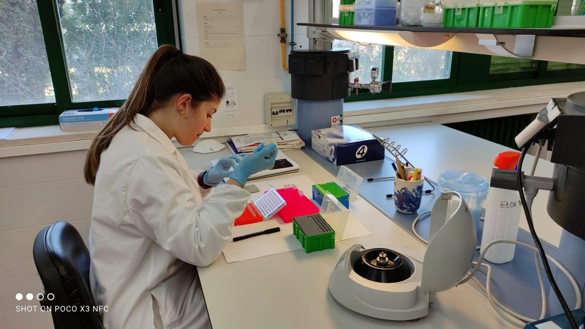 Una de las investigadoras participantes en el estudio de la UCO, en el laboratorio.