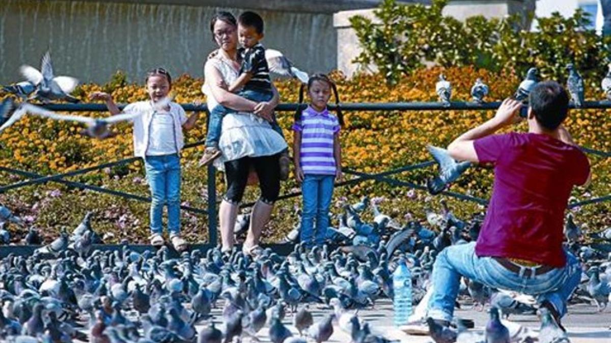 Una familia de turistas se fotografía entre palomas en la plaza de Catalunya, ayer.