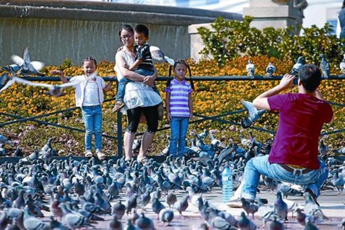 Una família de turistes es fotografia entre coloms a la plaça de Catalunya, ahir. Una família de turistes es fotografia entre coloms a la plaça de Catalunya, ahir.
