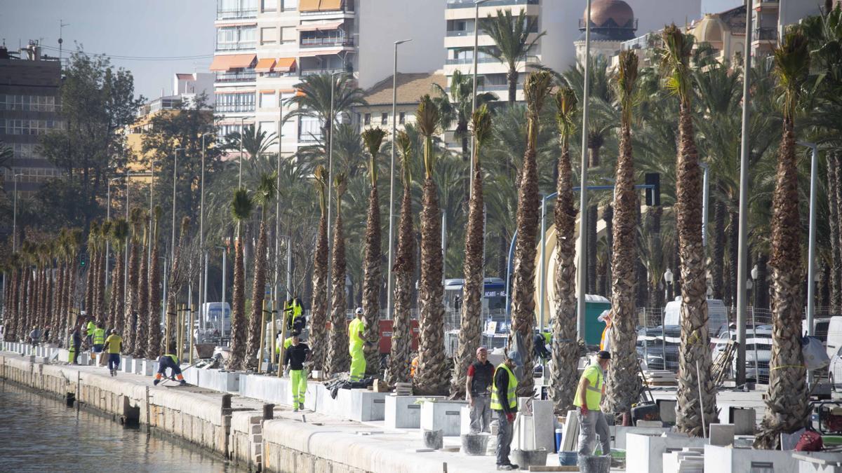 Obras del Puerto de Alicante: ¿Listas para la Ocean Race?