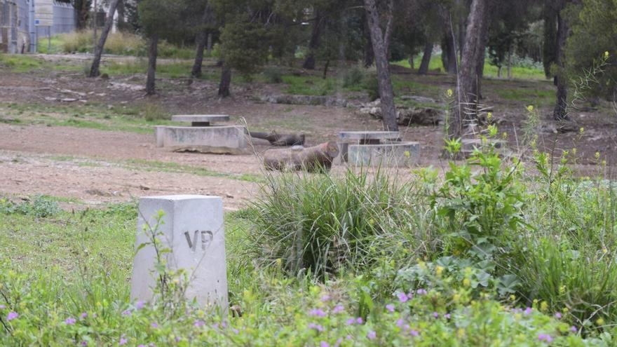 La Comunidad culmina la mayor apuesta reciente por los caminos ganaderos