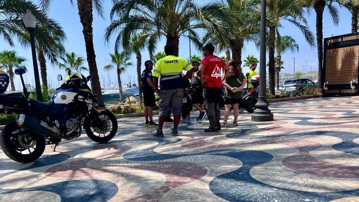La Policía Local supervisa, este viernes, trabajos de retirada de estructuras de Hogueras en la Explanada