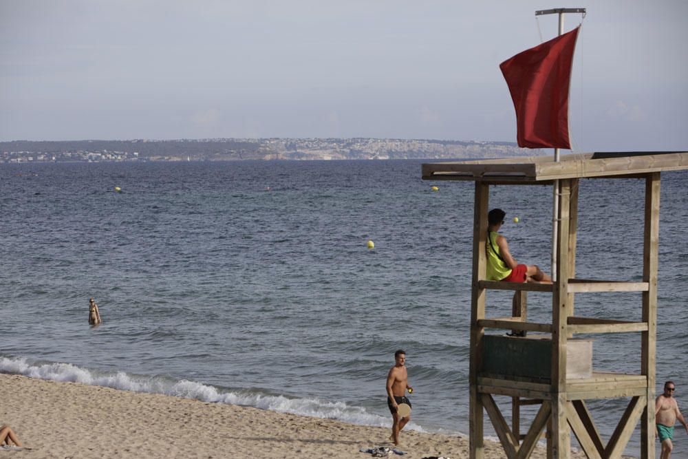 Bandera roja en Can Pere Antoni por vertidos de aguas fecales