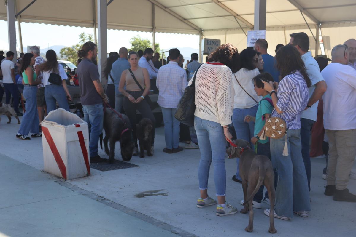 Feria del Perro de Archidona de 2024