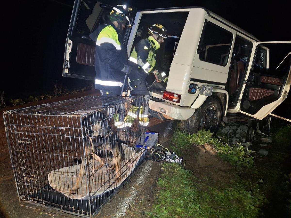 El perro dentro de la jaula en la que viajaba en el coche.