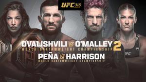 Cartel del UFC 316