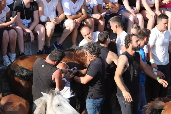 Las imĂĄgenes de la Rapa das Bestas de Sabucedo