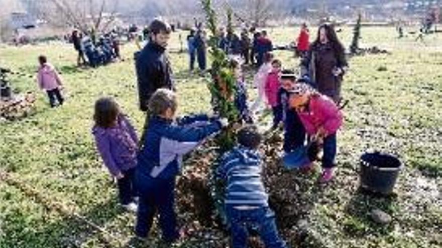 Girona Uns 170 nens planten arbres prop del Ter