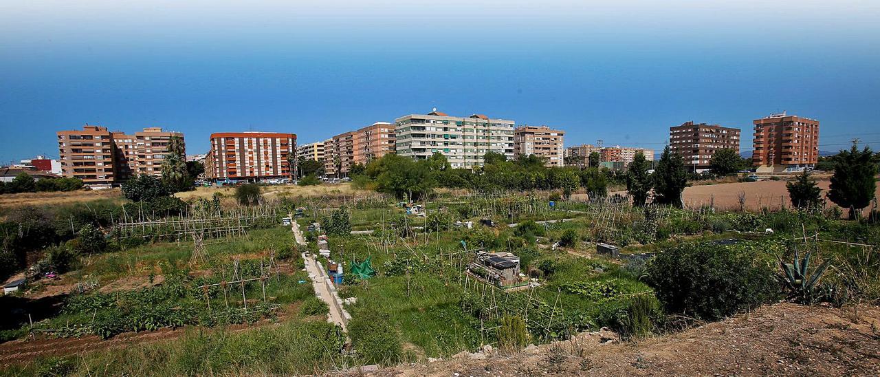 El barrio de Benimaclet y 
los terrenos, con huertos, 
del futuro PAI. eduardo ripoll