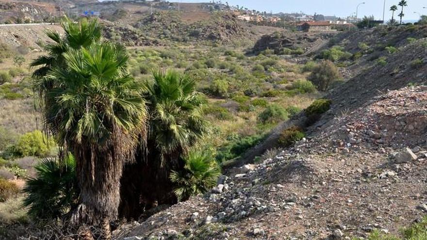 Restos arqueológicos hallados en El Veril, zona de construcción del Siam Park