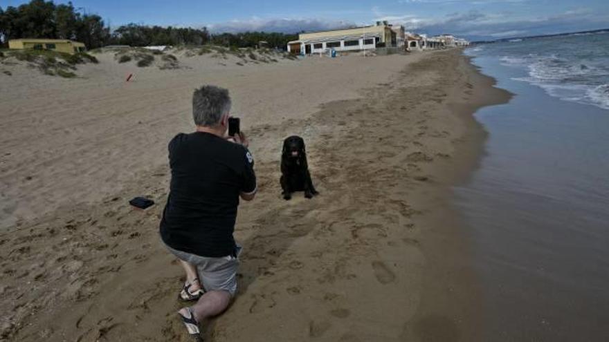 Un propietario y su mascota, en un momento distendido en la playa de El Pinet, en La Marina