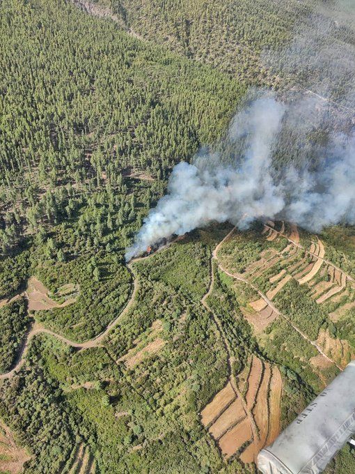 Incendio forestal en Tenerife