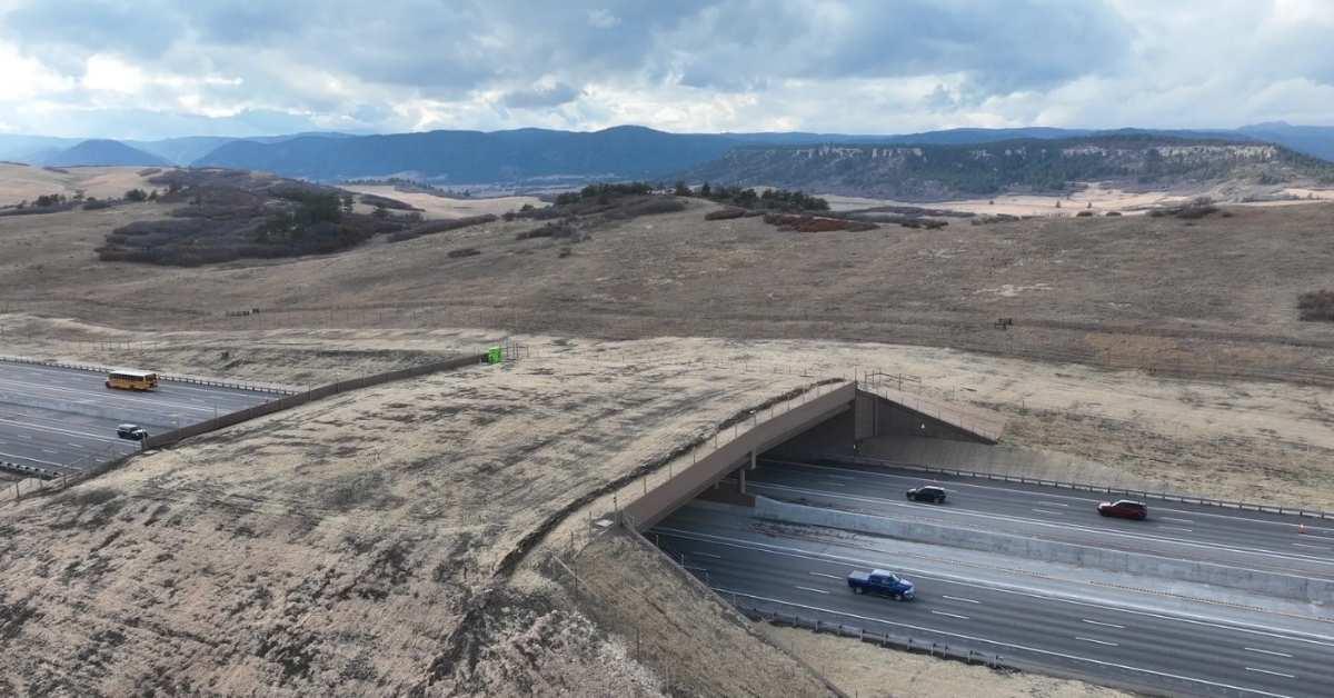 El puente, antes de ser recubierto de vegetación natural