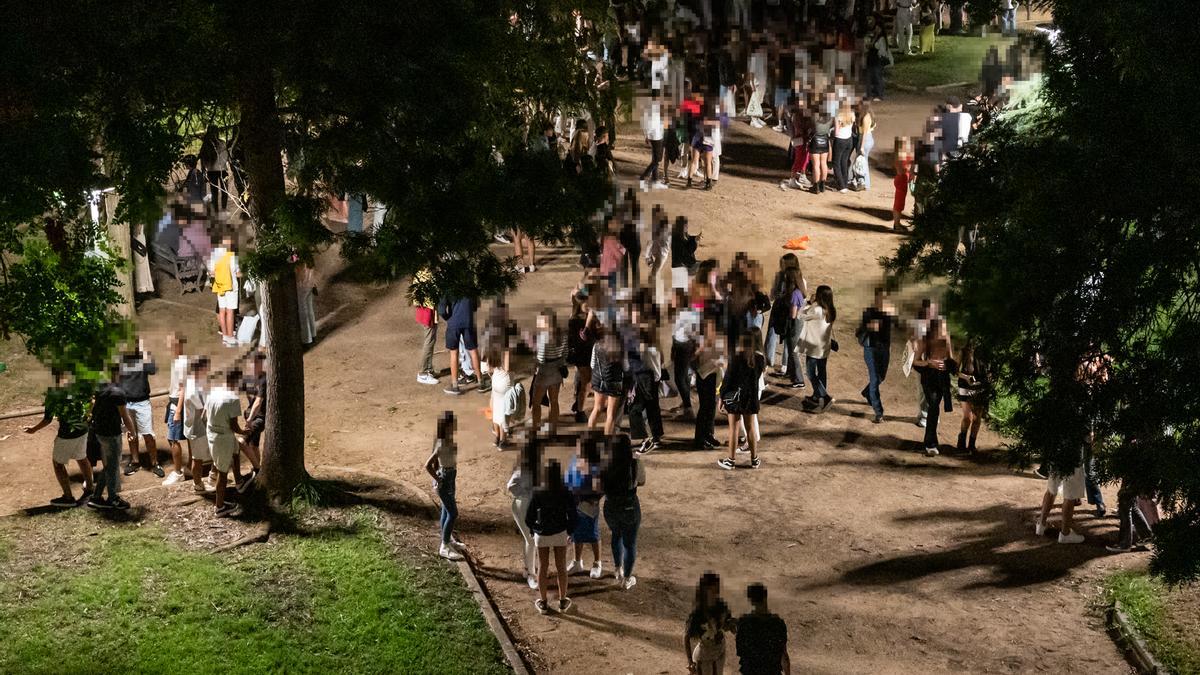 Imagen del botellón que se estaba celebrando anoche en el parque Infantil.