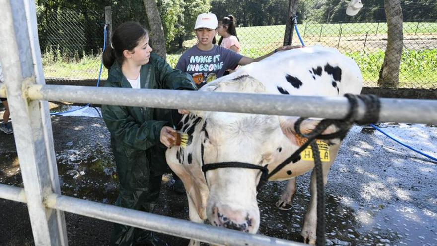 Una de las actividades de la escuela de jóvenes ganaderos en julio del año pasado en la Finca de Mouriscade.