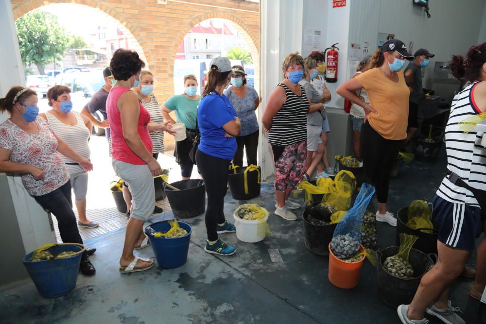 Marisqueo en Arousa