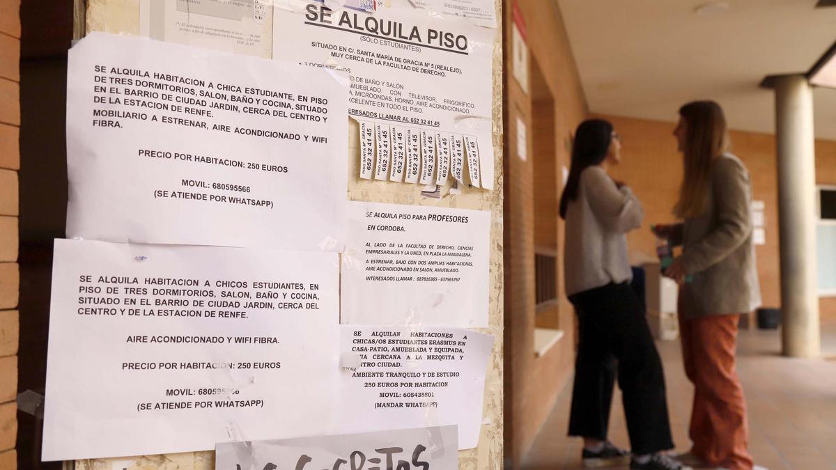 Anuncios de alquiler de habitaciones y pisos, en la Facultad de Derecho de la Universidad de Córdoba.