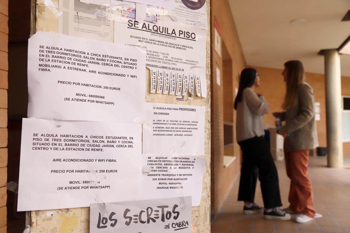 Anuncios de alquiler de habitaciones y pisos, en la Facultad de Derecho de la Universidad de Córdoba.