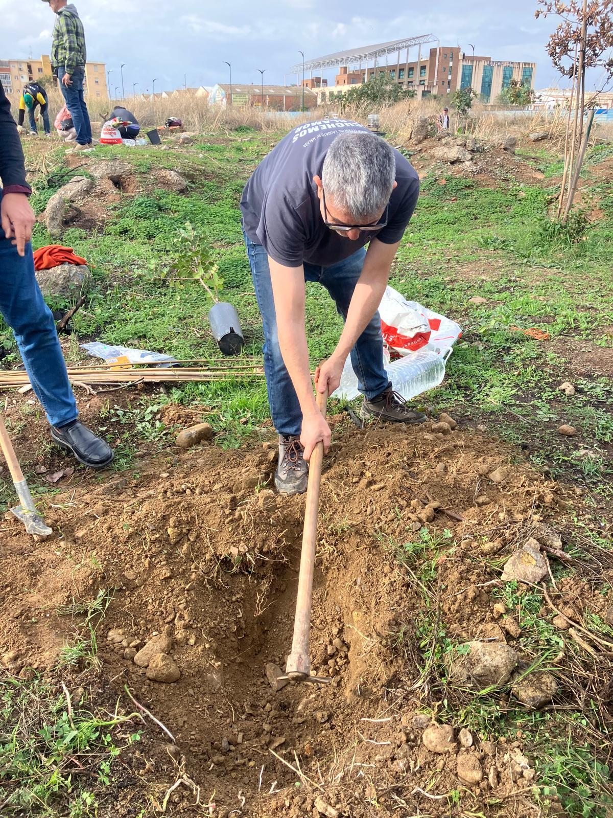 Voluntarios de la plataforma Bosque Urbano Málaga plantan 60 árbolesen los antiguos terrenos de Repsol
