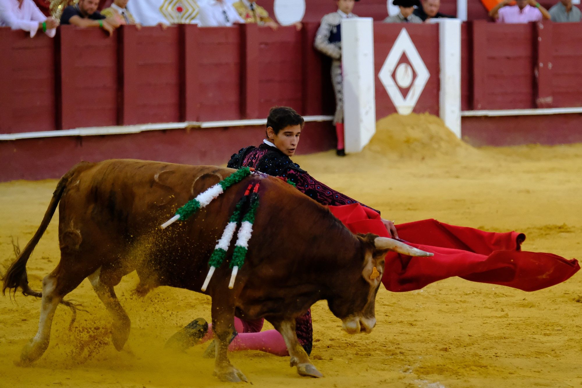 Toros en la Feria | Novena corrida de abono en La Malagueta: 3ª Semifinal de las Escuelas Taurinas