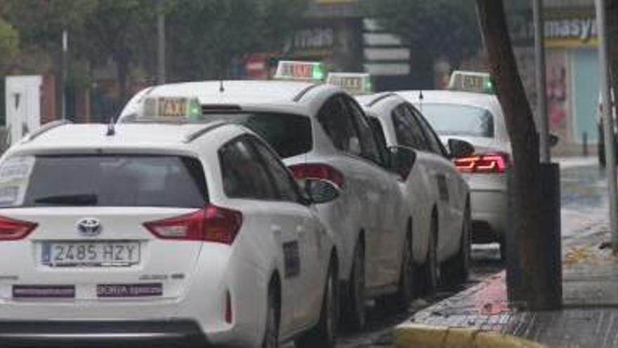 Los taxis de Gandia pierden un 20 % de traslados largos por los vehículos con conductor