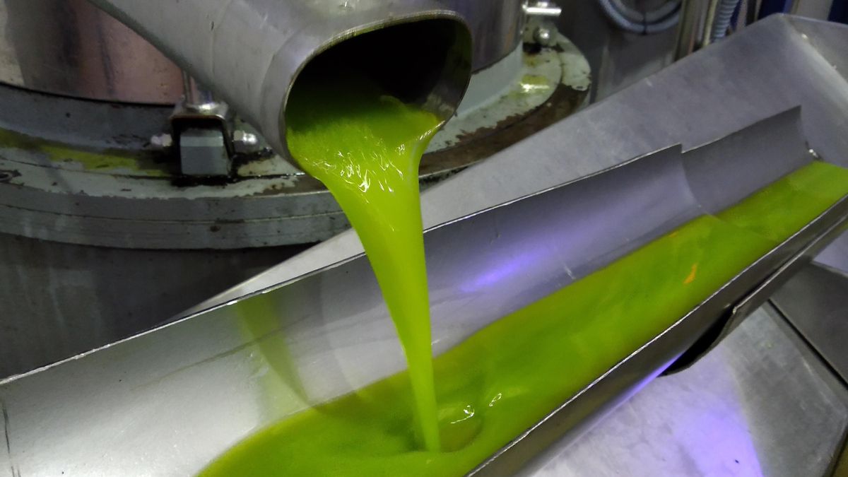 Extracción de aceite.