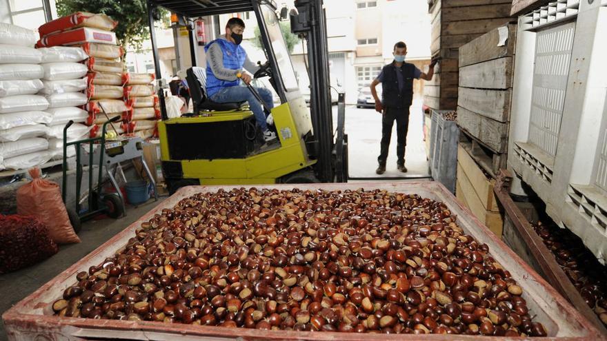 El encarecimiento de los alimentos no frena el auge de productos ecológicos en Galicia