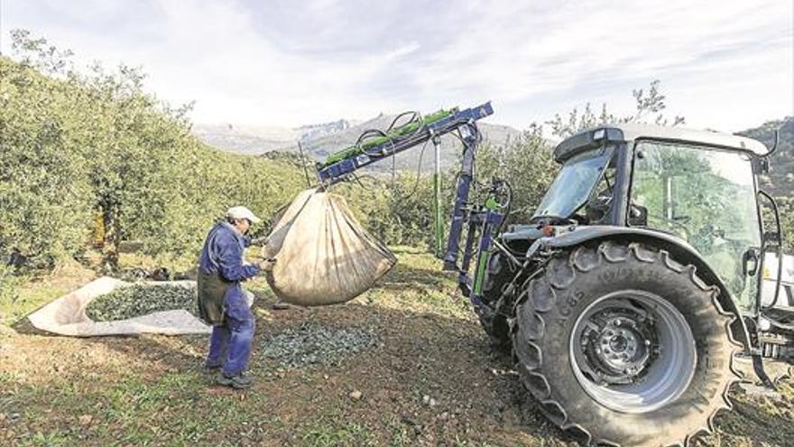 Casi 41.000 agricultores reciben 266,5 millones en ayudas de la PAC