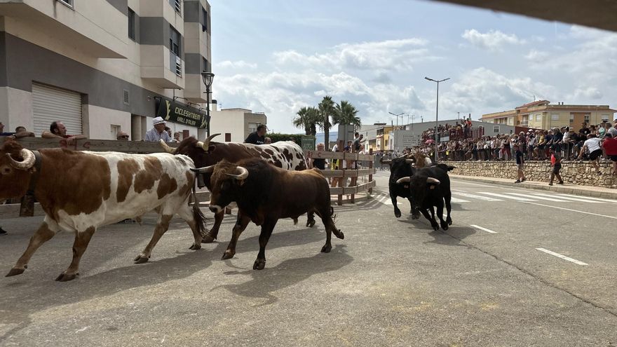 Vall d’Alba despide sus fiestas tras 10 intensos días con gran participación