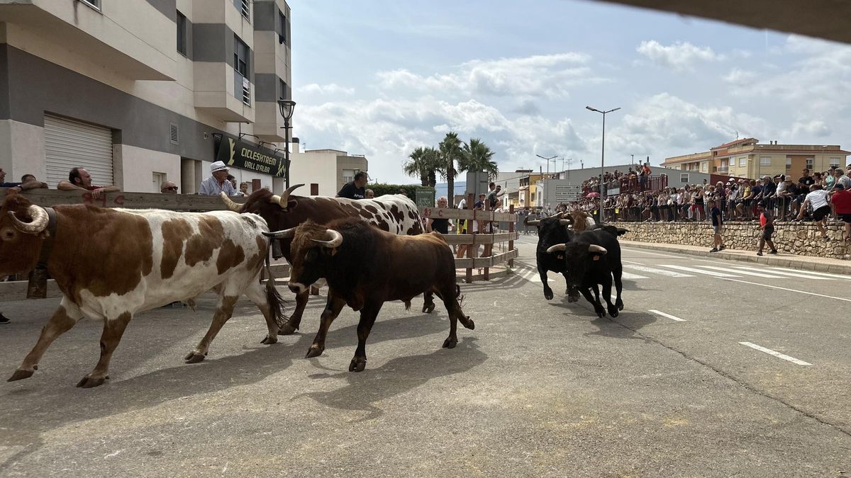 Los toros han destacado en la programación de esta última jornada de fiestas.