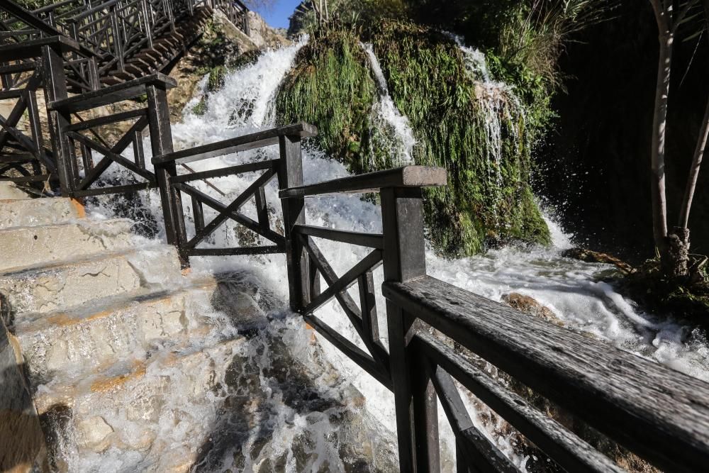 Un paraíso tras la tempestad