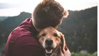 Cronoshare busca autónomos del sector de las mascotas y animales de compañía