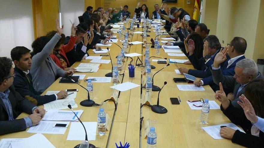 Imagen de la asamblea de la Mancomunidad de Municipios de la Costa del Sol Occidental.