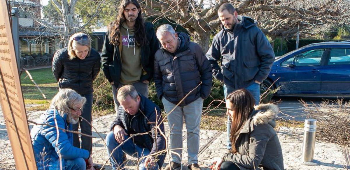 Els cellers de la DO Pla de Bages participen en el setè «Esmorzar de la poda» | DANI CASAS