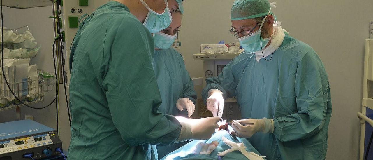 Hay 4.800 pacientes en espera quirúrgica más que en marzo del pasado año. | L.O.