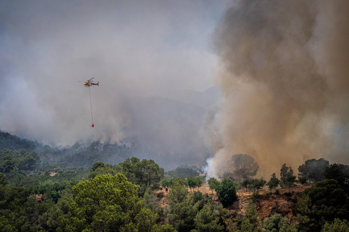 Dentro del incendio en Baix Ebre: los bomberos trabajan a contra reloj en el incendio forestal en Paüls
