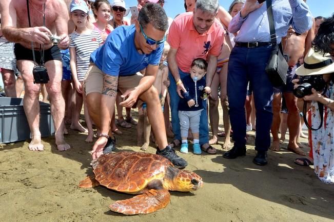 GARZA ÁNADE TORTUGA SUELTA CHARCA MASPALOMAS