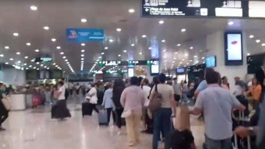 Retraso de más de una hora en un tren Ouigo de la línea Barcelona-Madrid